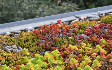 the cost of Riseley green roof installation