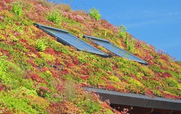 Riseley living roof systems